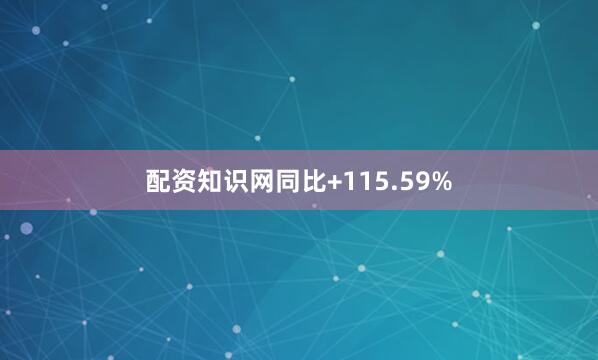 配资知识网同比+115.59%